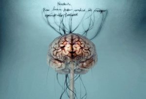 Met NLP kan je patronen veranderen